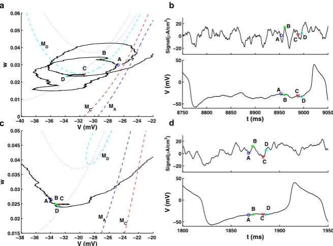 Fig. 6 Phase plane trajectories traced out by the responses of the model to two different SEEs (panels(below the (pseudo-)slow manifold as the input signal strength increases for Type II