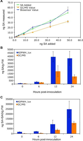 Figure 3Comparison of ADPWH_lux- and GC/MS-based methods for SA quantificationComparison of ADPWH_lux- and GC/MS-based methods for SA quantification