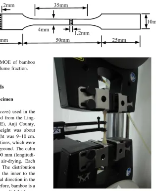 Fig. 1 Shape and dimension of