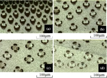 Fig. 4 Section images obtainedimages of sections of thesamples located along the radialdirection from the outer to theinner part of a culm wall and thecorresponding values offrom microscope