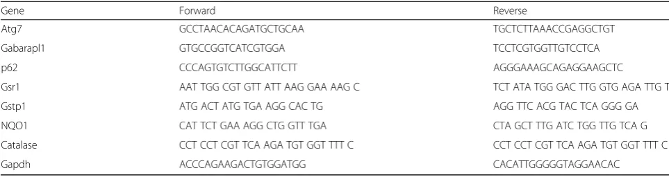 Table 1 Primer used for real-time PCR
