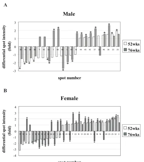 Figure 2Proteins differently expressed at the age of 52 and 76 weeks versus 28 weeksProteins differently expressed at the age of 52 and 76 weeks versus 28 weeks