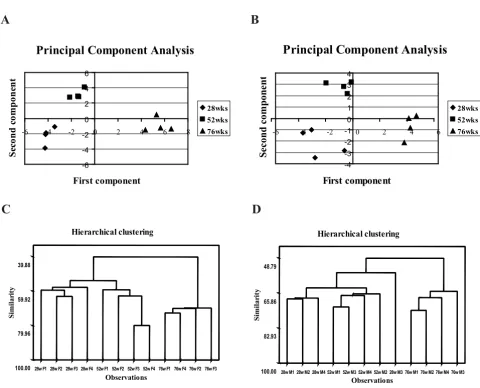 Figure 3Organization of data by multivariate analysisand gel. both types of multivariate analysis were present in 100% of the 2-DE maps and passed the filter of the one-way ANOVA (p < Organization of data by multivariate analysis