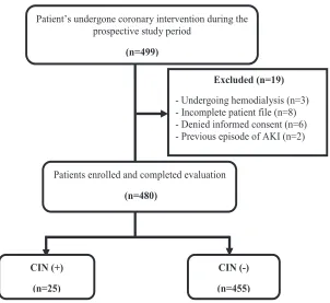 Fig. 1: Flow chart of the study processCAG- coronary angiogram, PTCA- percutaneous transluminal coronary angioplasty, CIN- contrast-induced nephropathy,  AKI- acute kidney injury