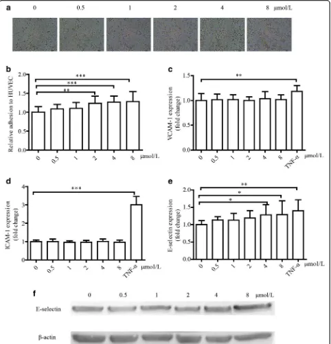 Fig. 3 15-oxoETE treatment promotes monocyte recruitment and increases E-selectin expression in vitro