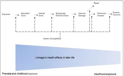 Figure 1 The integrated paradigm of genetic susceptibility in environmental disease development in different life stage