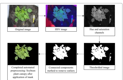 Fig. 1 Image preprocessing sequence from original image of canopy to completed automated pre-processed field soybean canopies
