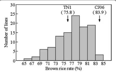 Fig. 1 The distribution of brown rice rate in the DH population