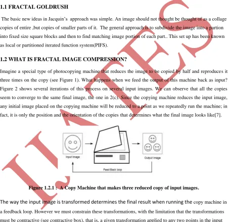Figure 2 shows several iterations of this process on several input images. We can observe that all the copies 