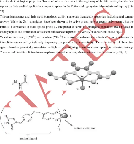 Figure 3; (a)Functional unit of Thiosemicarbazone (b) Zn2+ complex of Thiosemicarbazone  