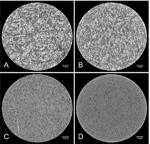 Fig. 1: Theophylline release from matrix tablets before and after storage for 3 months at 40° and 75 % relative humidityF1-DCPA; F2-lactose; ▬▬ F1-t0, ▬▲▬ F2-t0; …… F1-t3 months, …▲… F2-t3 months