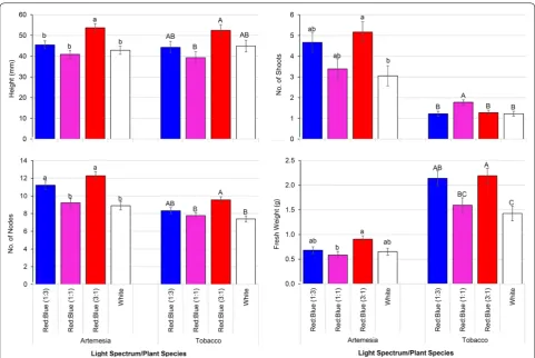Fig. 5 Differences in plant height, no. of shoots, no. of nodes and fresh weight measured after 3 weeks of growth of tobacco and artemisia growing cate significant differences at α under white and red/blue combination with the fluence rate 35 μmol m−2 s−1