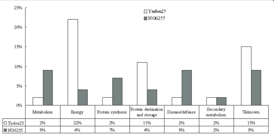 Figure 5 Distribution of identified protein classes in Yudou25 and NG6255 using the methods of Bevan et al