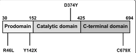 Figure 1 PCSK9 protein structure and selected mutationsPCSK9 protein includes a pro-domain (Pro) that is self-cleavedduring secretion and remains tightly associated, a catalytic domain,and a C-terminal domain