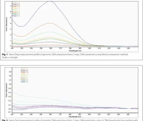 Fig. 1 Nano‑Drop measurement profile of genomic DNA extractions from Z. mays. DNA extractions using Mericon extraction method