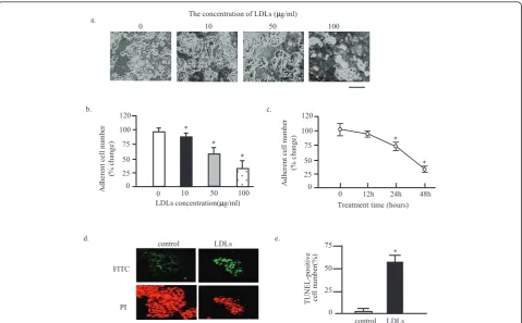 Figure 1 LDLs induce the apoptosis of MIN6sThe MIN6 cells were exposed to LDLs with indicated concentrations for 48 hours