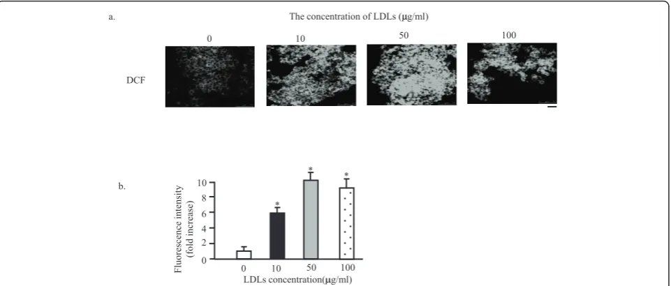 Figure 4 LDLs loading induces the excess generation of ROS. The MIN6 cells were exposed to the LDLs with indicated concentrations for 48hours