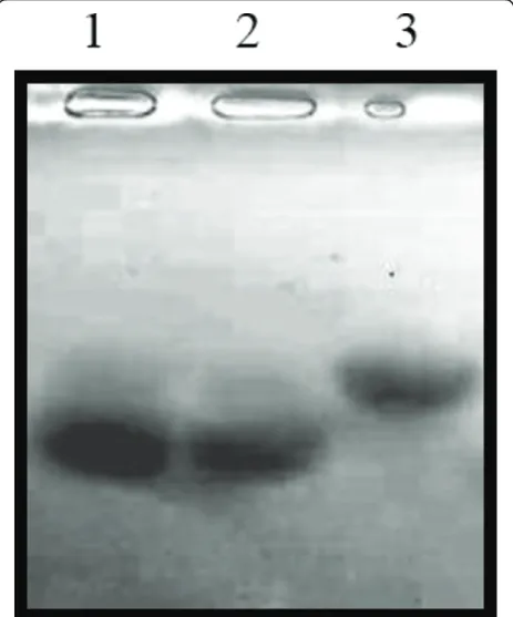 Figure 5 The LDLs loading induces accumulation of intracellular cholesterol. MIN6 cells were exposed to CLC with 250 times dilution or 80μM of LDLs in the growth medium