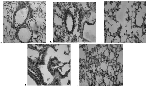 Fig. 1: Histopathology of lungs 