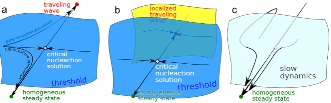 Fig. 1 Schematic sketch of the orbit structure in phase space.that the traveling wave solution disappears by a collision of the traveling wave solution with its nucleationsolution, that is, in a saddle-node bifurcation