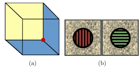 Fig. 1 a Necker cube illusion[7] and b rivalry [6]
