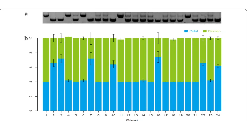Fig. 4 Functional analysis of a regulatory region in the second intron of AGAMOUS. a Binding profiles of MADS-domain transcription factors (TFs) in the second intron of AGAMOUS