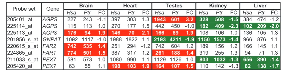 Figure 7 Differential expression of genes related to ether phospholipid metabolism(absolute value) with a moderated t-testchange of