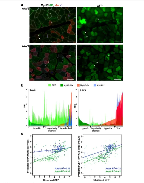 Fig. 2 (See legend on next page.)