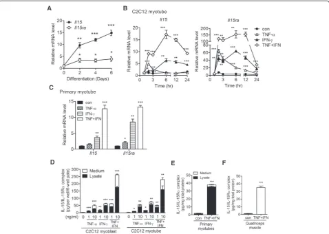 Fig. 1 Skeletal muscle cells express IL-15/IL-15Rtwo independent experiments with similar result