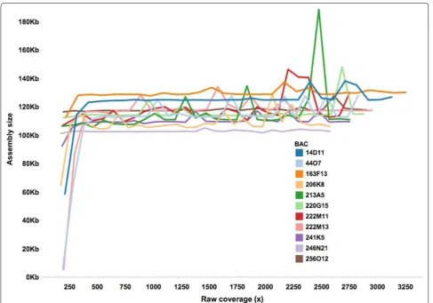 Fig. 1 Optimal coverage for assembly. Assembly sizes vs coverage for each of the 11 sugarcane BACs