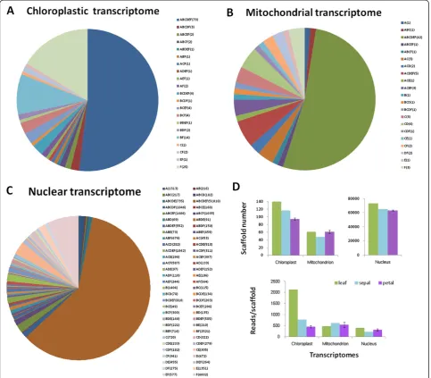 Figure 3 Classification of Ipomoea purpurea transcriptomes. (A-C) The sample distributions of scaffolds for three subcellular transcriptomes