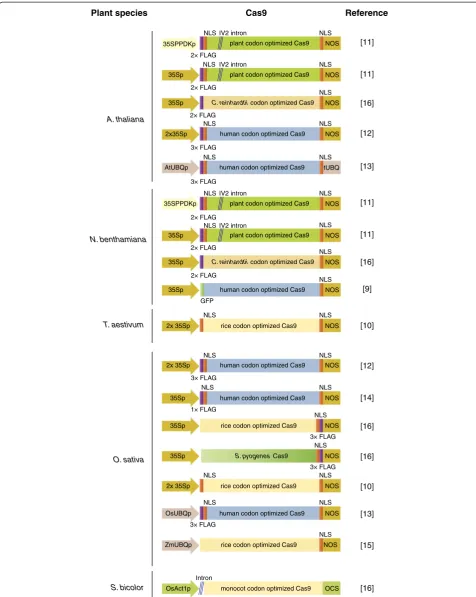 Figure 2 Cas9 variants used for genome editing in plants. The Cas9 nuclease was expressed as a fusion protein with a tag (FLAG or GFP asindicated) under various constitutive promoters