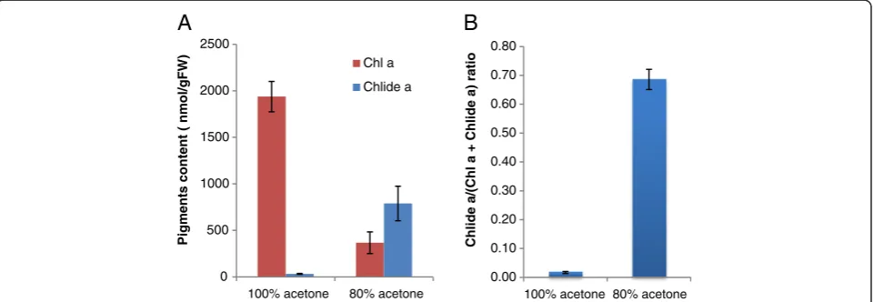 Figure 2 Formation of chlorophyllide a by the extraction of chlorophyll with pure or 80% buffered acetone
