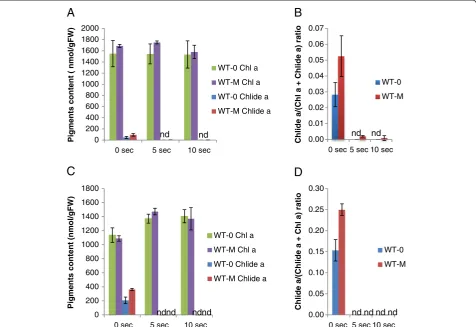 Figure 5 Effect of quick boiling on the formation of chlorophyllidechlorophyllidebottom of the plant) were collected from 4-week-old wild-type plants that had been sprayed with 100growth conditions