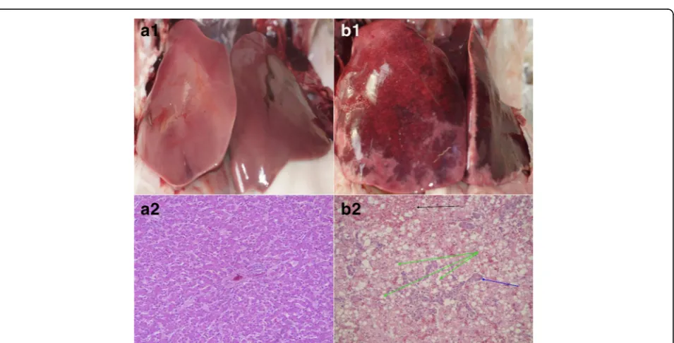 Table 1 Nutrient composition of the case diets at time of outbreak of hepatic lipidosis in flocks