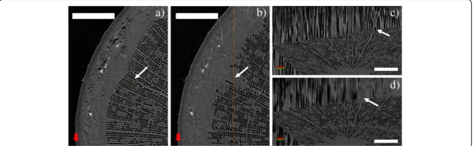 Figure 2 XMT reconstructions from the stem of a Silver birch sapling. Axial cross-sections of sample A, uprooted in late October