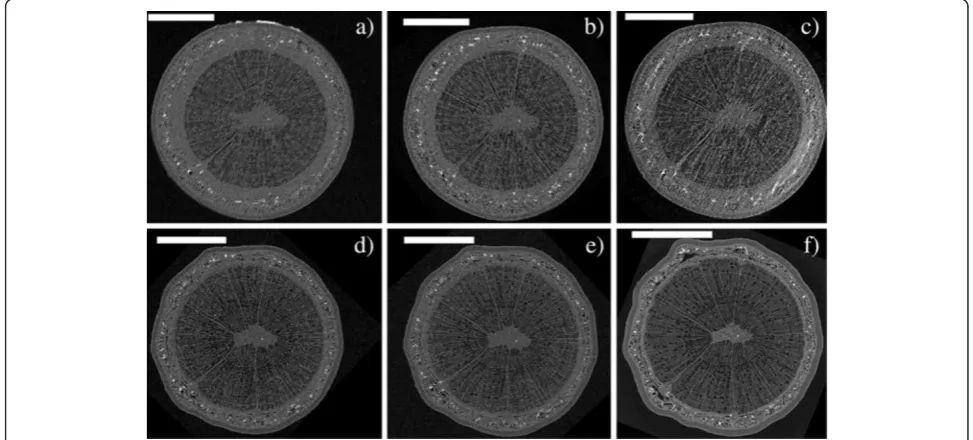 Figure 6 XMT time series of a Curly birch sapling. Axial cross-sections of sample C, imaged a) in the initial (well-watered) state and b) thefollowing day, c) 5 days, d) 6 days, e) 8 days and f) 42 days after the initial scan