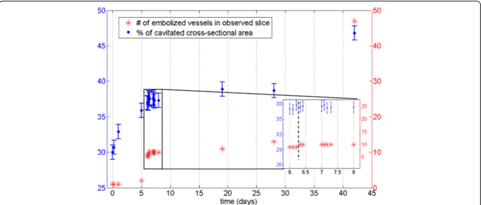 Figure 9 Quantification of stem embolism in Silver birch. Percentage of cavitated stem (PCS) values from a Silver birch sapling (sample D) asa function of time