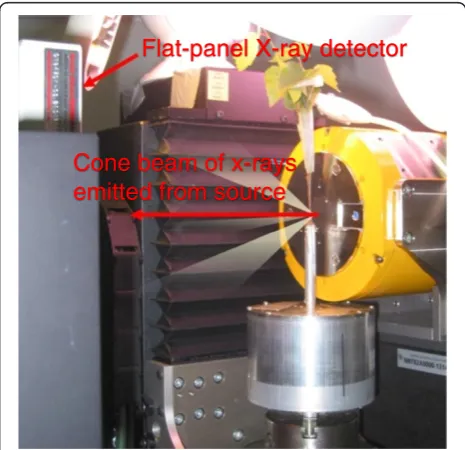 Figure 10 The XMT setup. X-rays are emitted in a wide cone beamfrom the x-ray tube on the right, and detected with the flat-paneldetector to the left