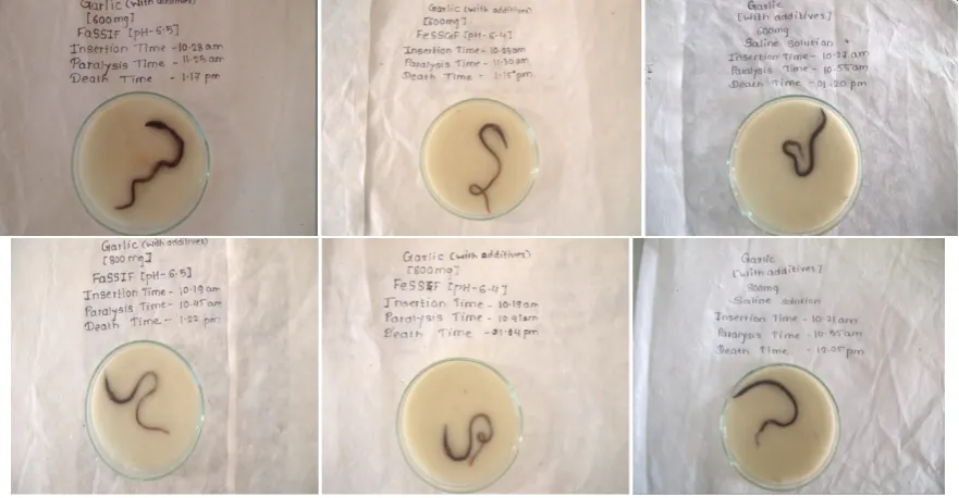 Fig.3: In vitro Anthelmintic Effect of garlic powder in Bio-relevant Medias and saline solution 