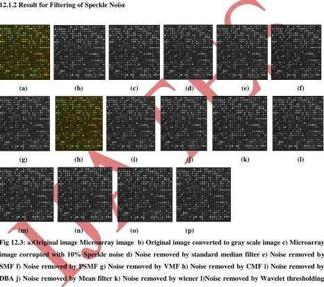 Fig 12.3: a)Original image Microarray image  b) Original image converted to gray scale image c) Microarray 