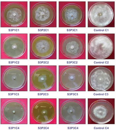 Fig. 1: Effect of methanol extracts of plants on mycelial growth of P. debaryanumSolvents (S): S1-acetone, S2-ethanol, S3-methanol, S4-chloroform