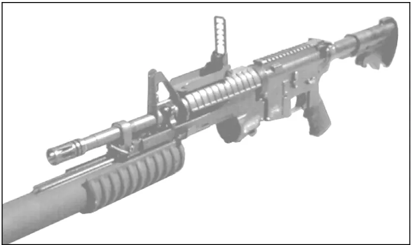 Figure 3-3. M4 carbine with rail system. 