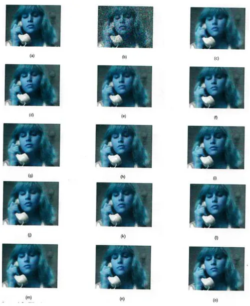 FIGURE 3.2 ‘SUZZIE’ Test images for different filtering techniques 