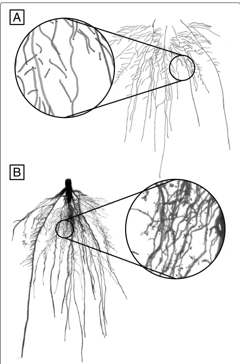 Table 1 Comparison of the diﬀerent methods