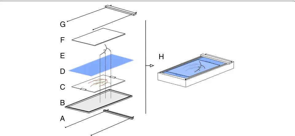 Table 2 Modiﬁed Hoagland solution