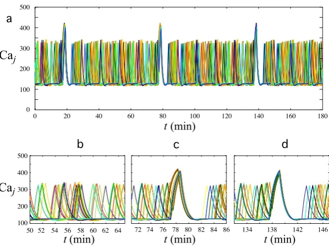 Fig. 5 Patterns of calcium oscillations in a network of 50 GnRH neurons.of synchronization