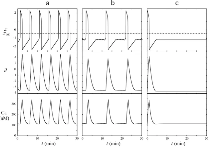 Figure 2small oscillations reproduce the quiescent phase of the calcium pattern at the baselinepanel (a), (b), and (c), respectively