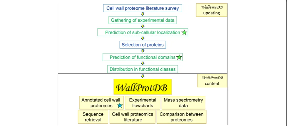 Figure 1 The WallProtDB flowchart (upper part) and content (lower part). ProtAnnDB is used at two different steps of the annotationprocedure: prediction of sub-cellular localization and of functional domains (indicated by green stars)