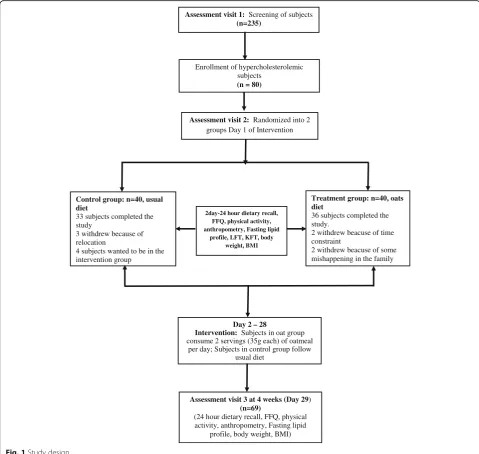 Fig. 1 Study design